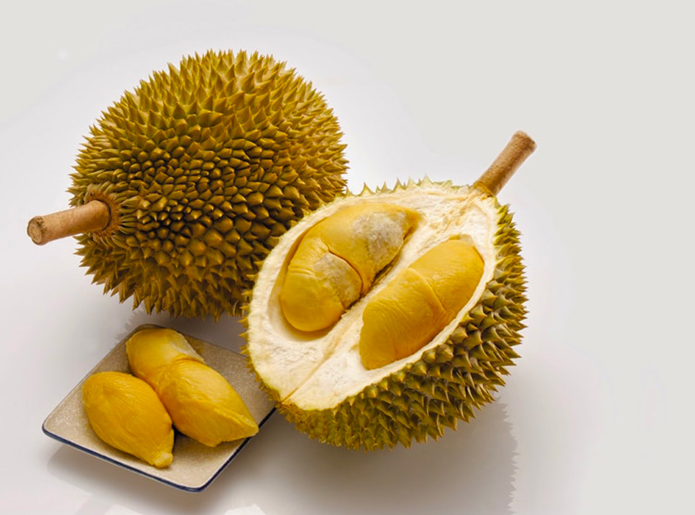 durian vietnam 1